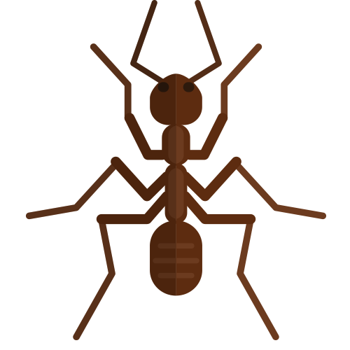 Pest Control Services | Exterminator Santee | Santee Pest Control