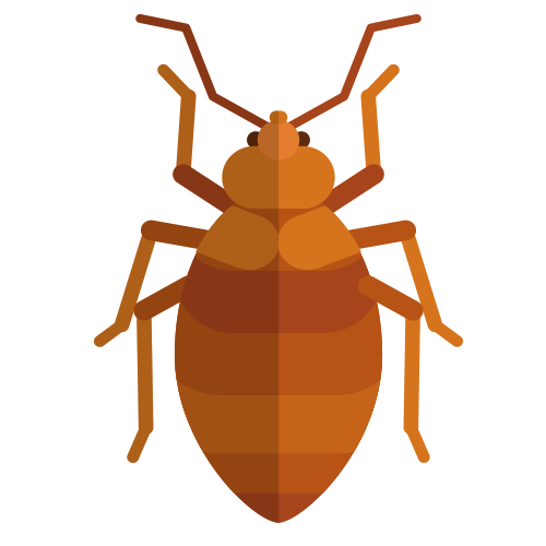 Pest Control Services | Exterminator Santee | Santee Pest Control