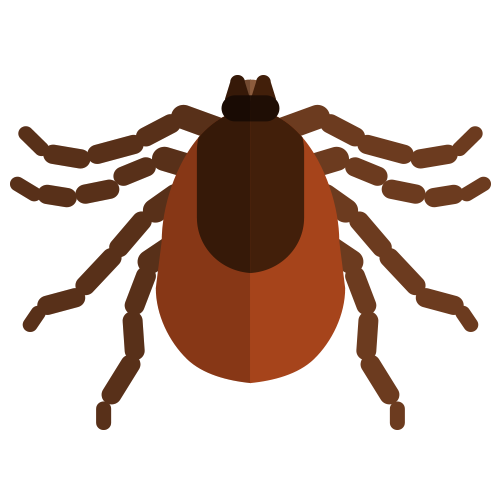 Pest Control Santee | Exterminator Santee | Santee Pest Control