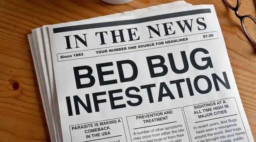 Signs of A Bed Bug Infestation